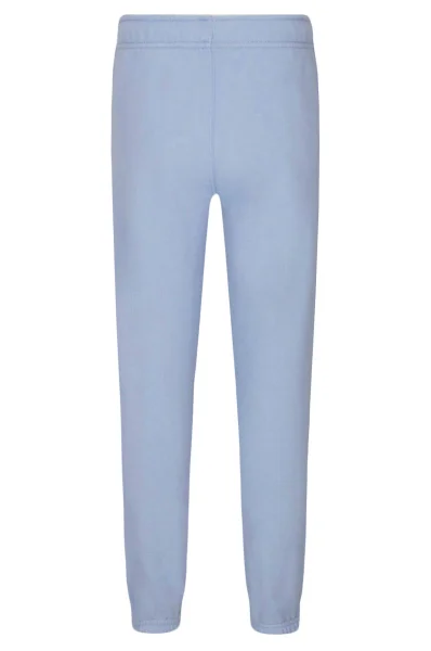 Pantaloni de trening | Regular Fit POLO RALPH LAUREN 	albastru	